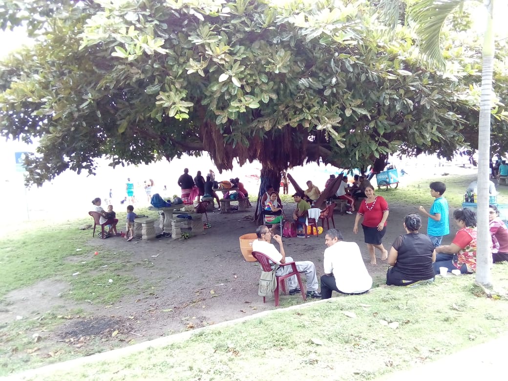 actividades